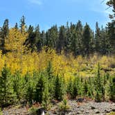 Review photo of Kelly Dahl by Doug L., October 11, 2023