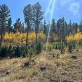 Review photo of Kelly Dahl by Doug L., October 11, 2023