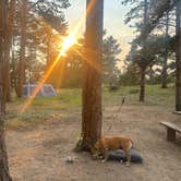 Review photo of Kelly Dahl by melissa M., July 6, 2026