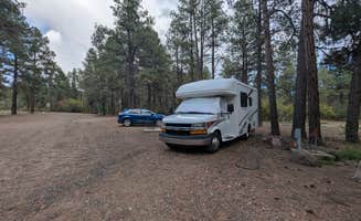 Sean G.'s photo of rv camping at Capote Campground near Bayfield, CO