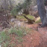Review photo of St Charles Campground - Lake Isabel by Kyli H., May 9, 2026