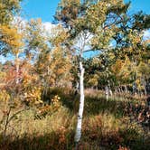 Review photo of St Charles Campground - Lake Isabel by Chad H., October 15, 2024