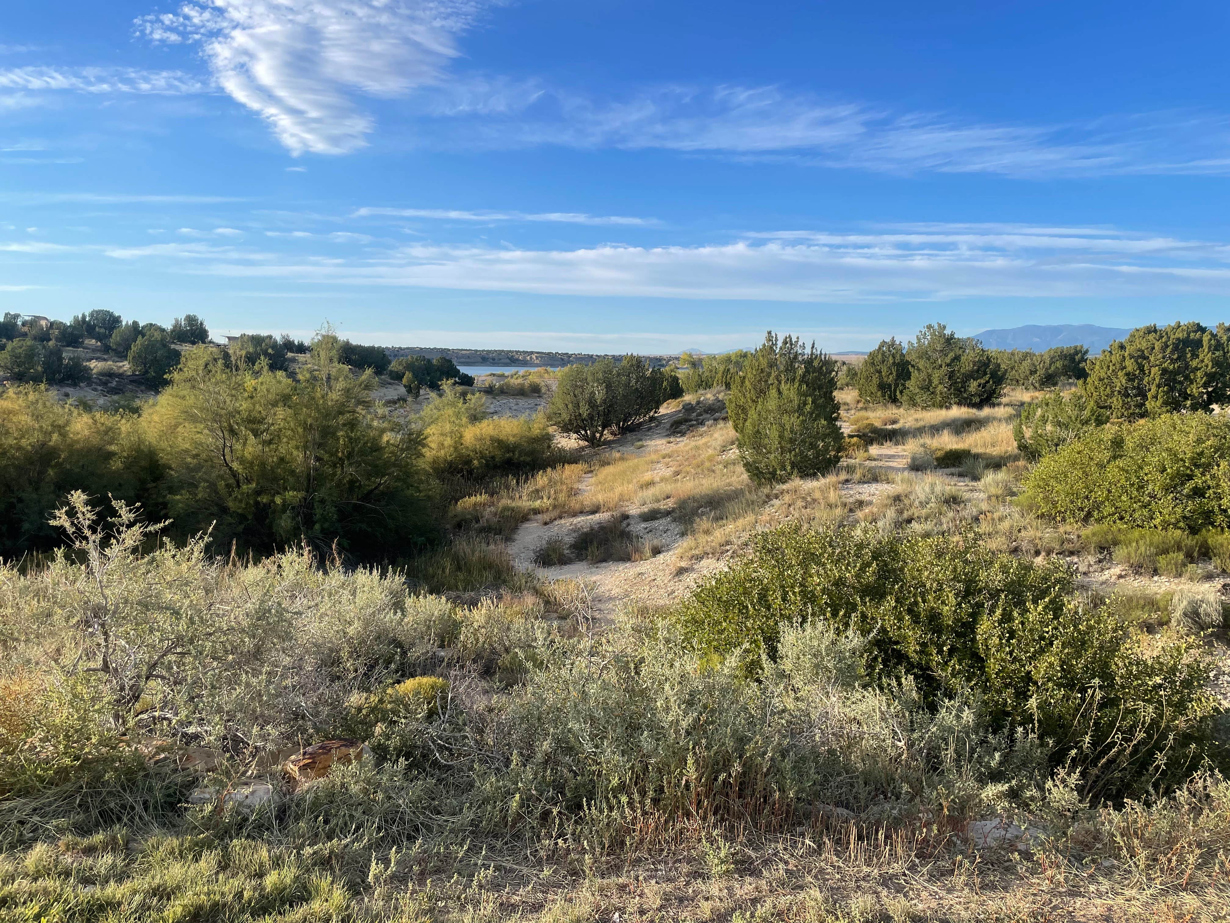 Camper submitted image from Juniper Breaks Campground — Lake Pueblo State Park - 1