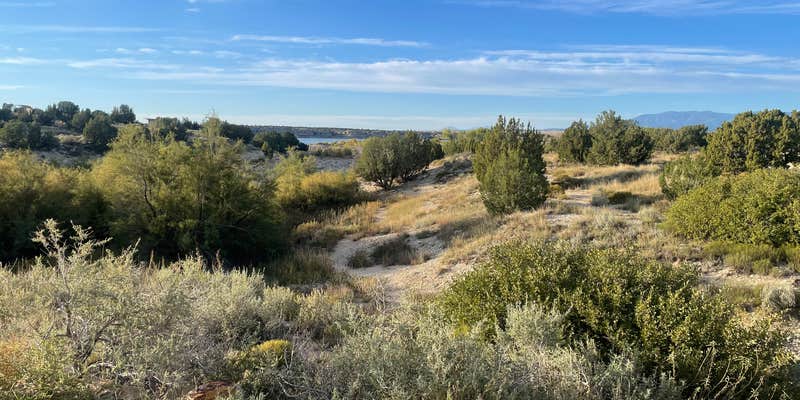 Camper submitted image from Juniper Breaks Campground — Lake Pueblo State Park