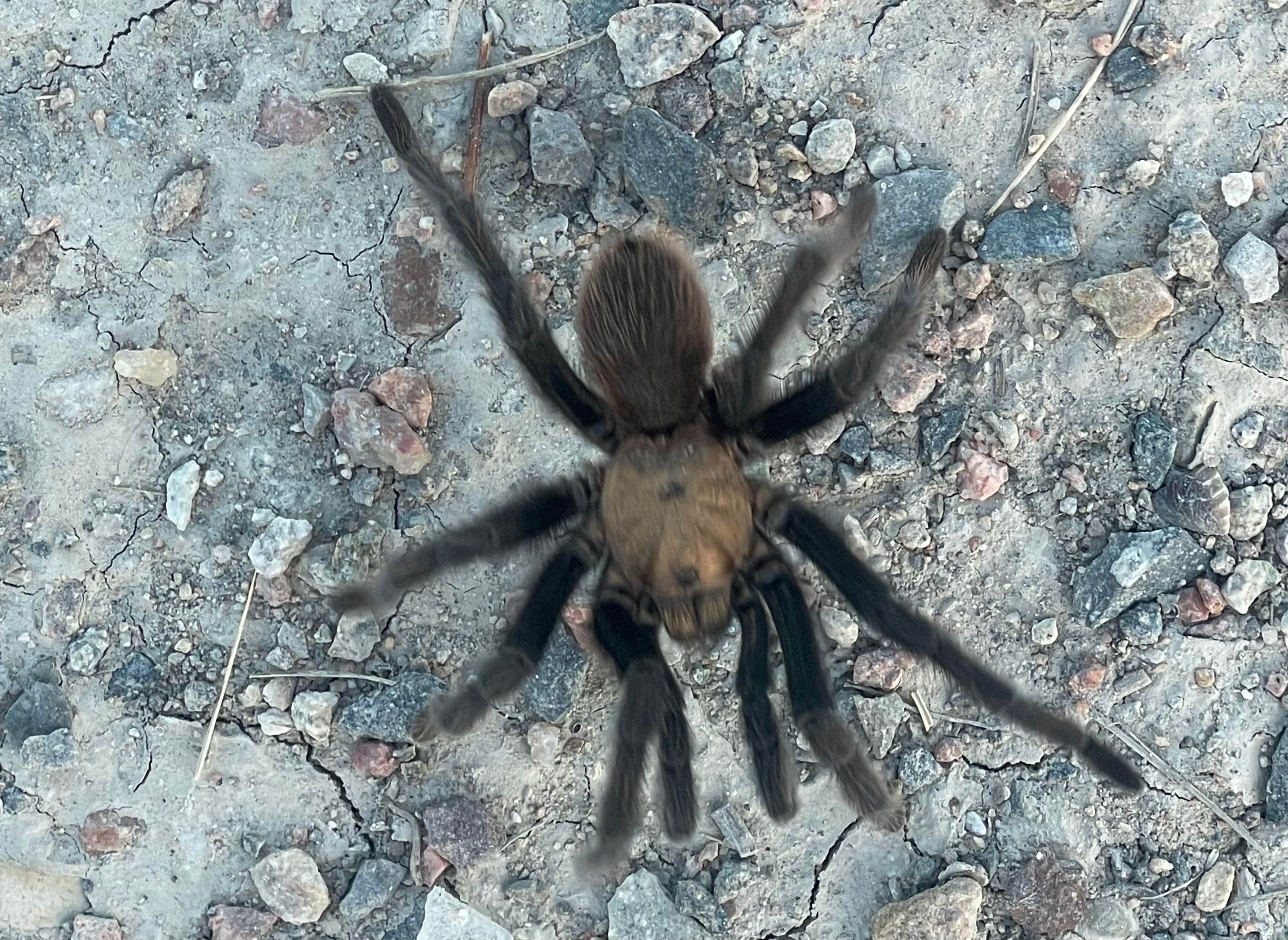 Camper-submitted photo at Juniper Breaks Campground — Lake Pueblo State Park near PSICC