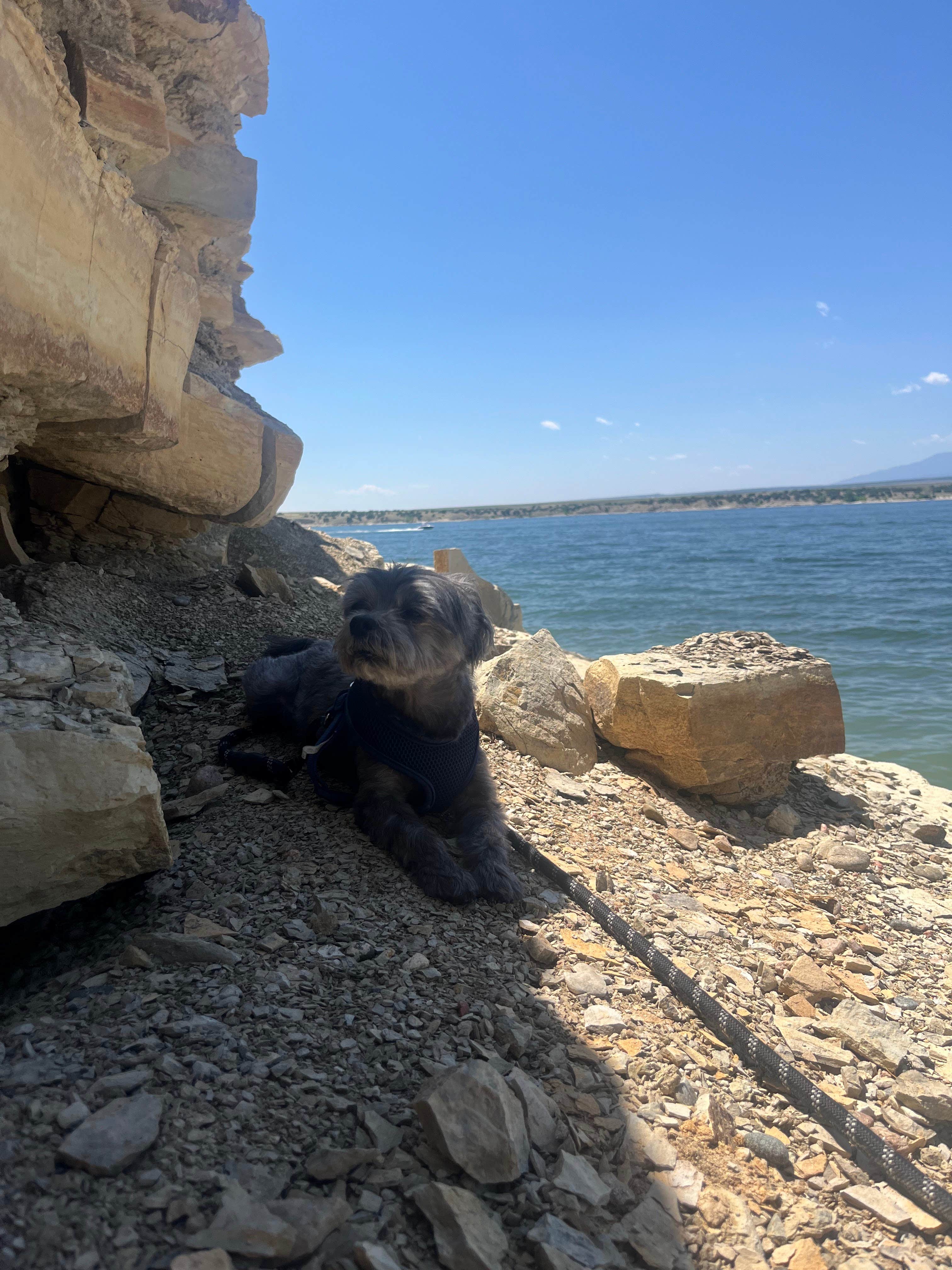 Ryan J.'s photo of camping with pets at Northern Plains Campground — Lake Pueblo State Park near Florence, CO