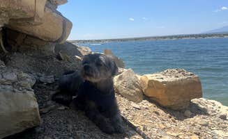 Ryan J.'s photo of camping with pets at Northern Plains Campground — Lake Pueblo State Park near Pueblo, CO