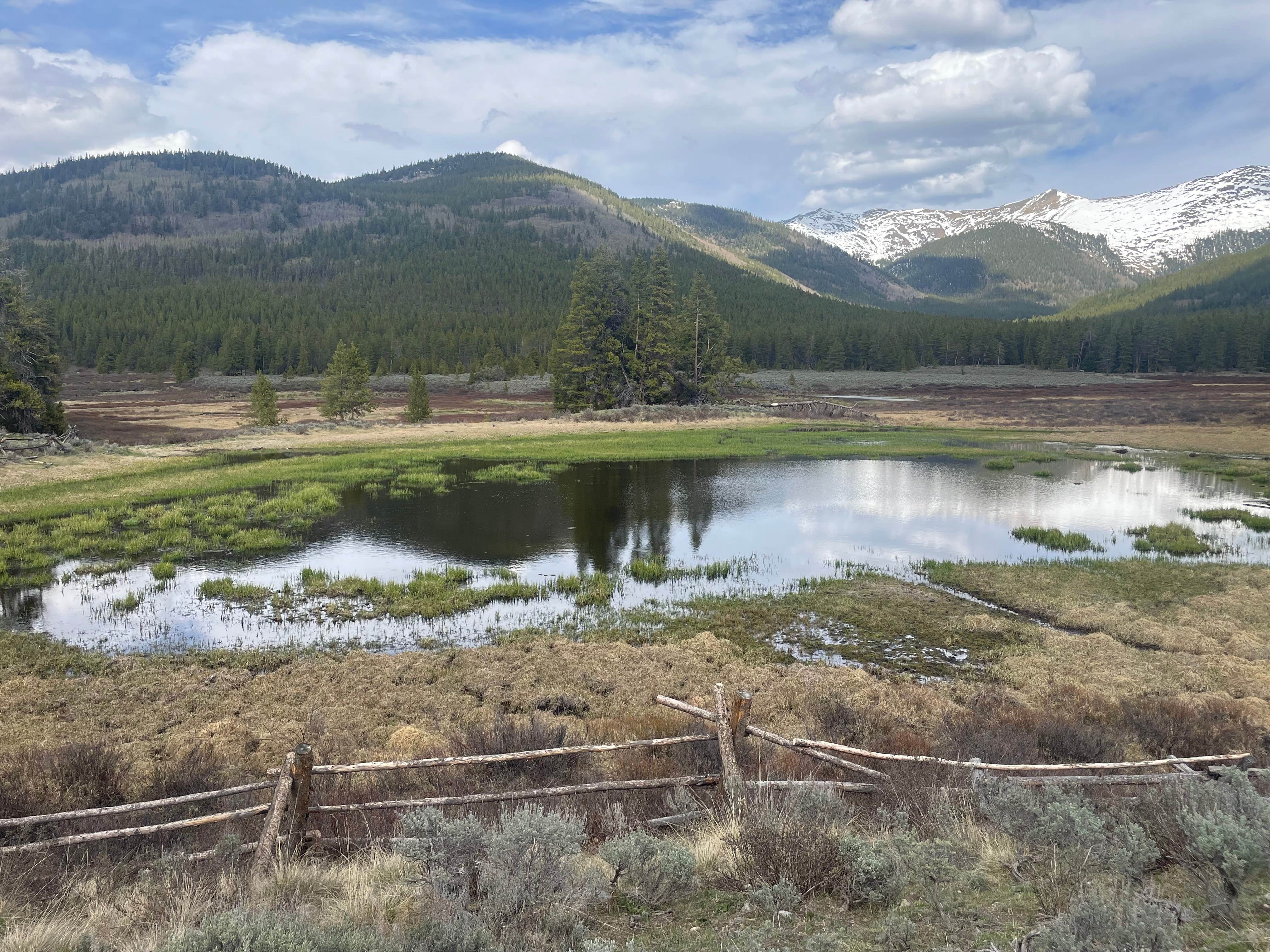 Camper submitted image from Lakeview Gunnison - 3