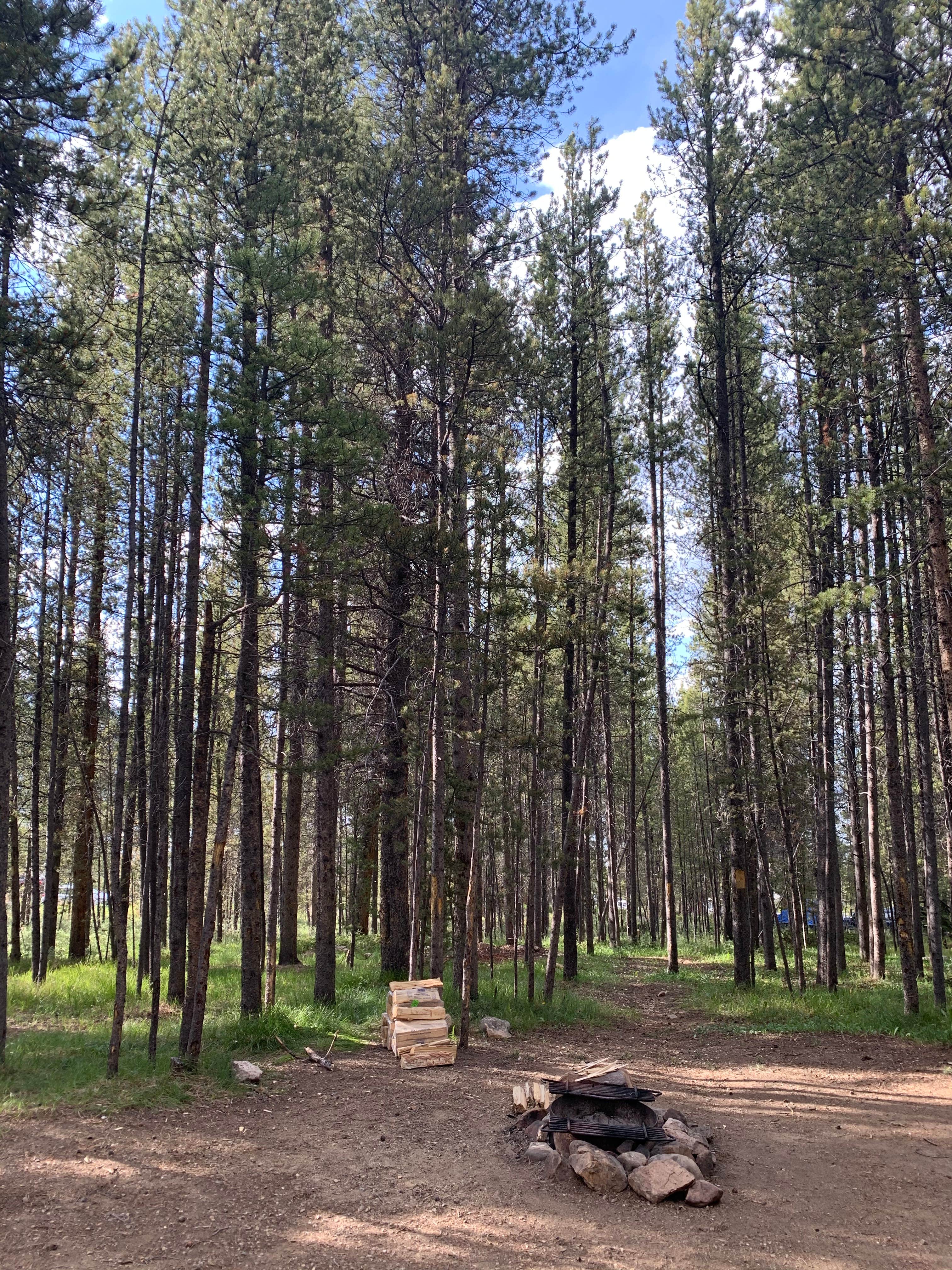 Camper submitted image from Lakeview Gunnison - 5