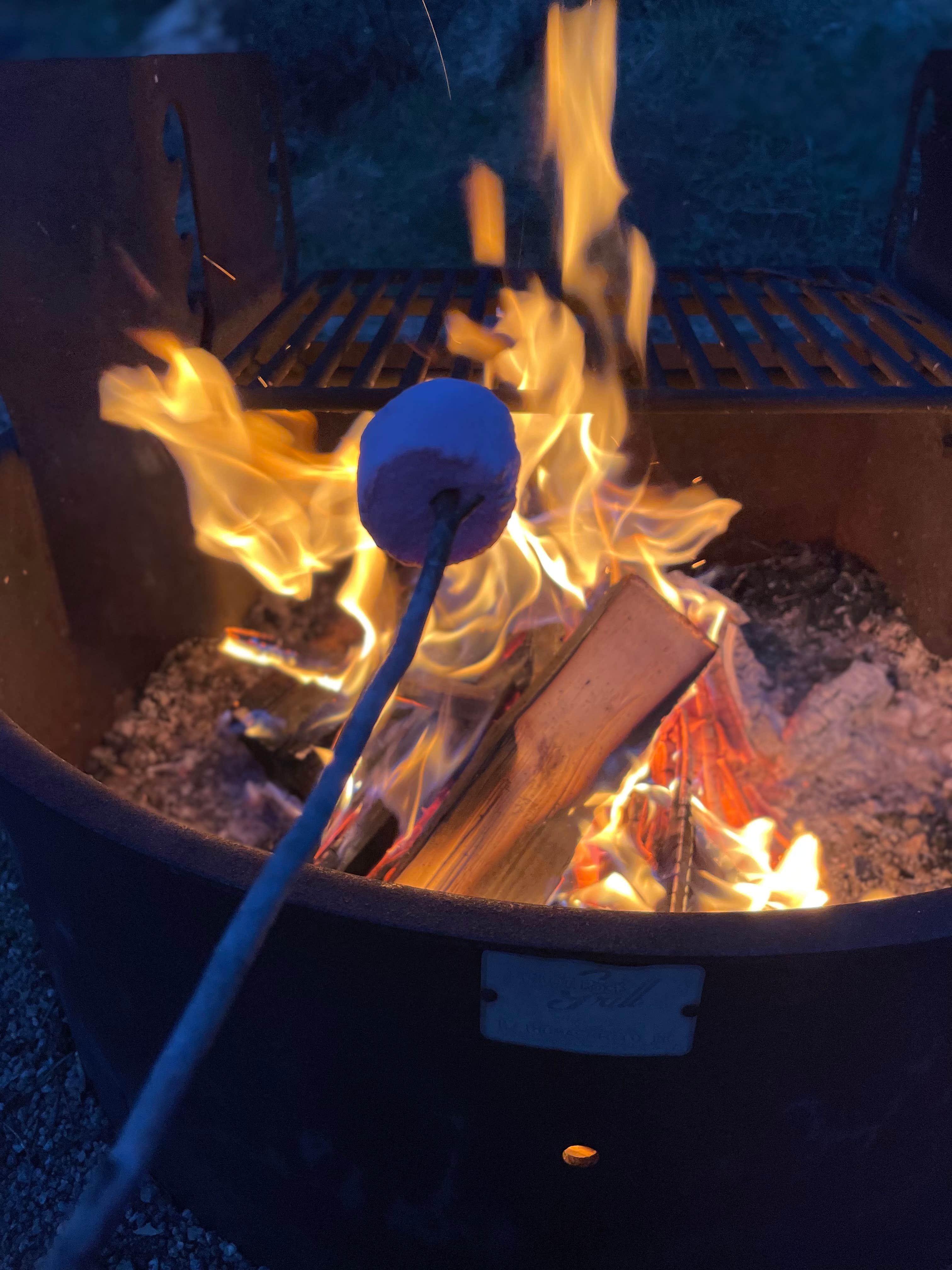 Camper submitted image from Lakeview Gunnison - 2