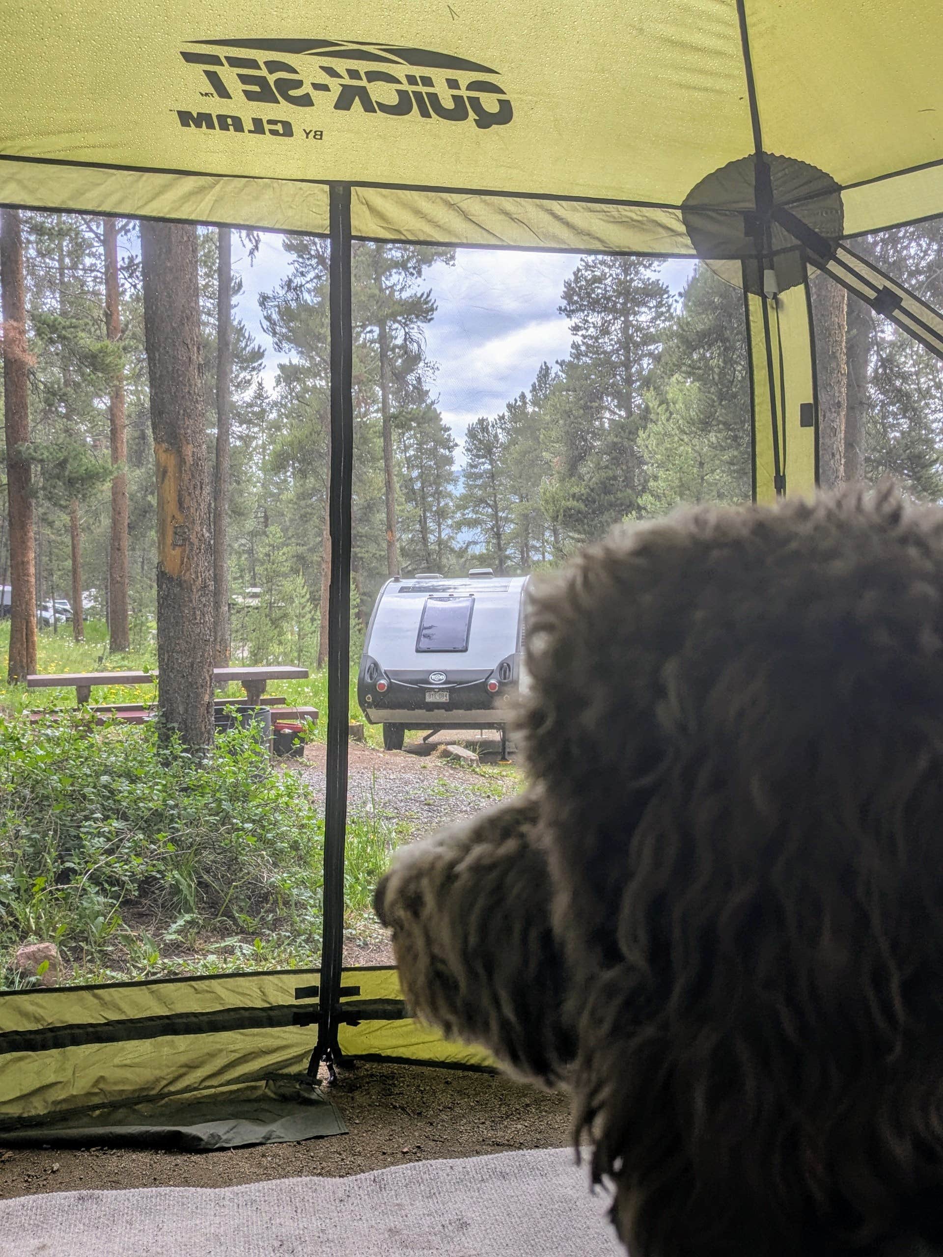 Jerry R.'s photo of camping with pets at Lakeview Gunnison near Crested Butte, CO