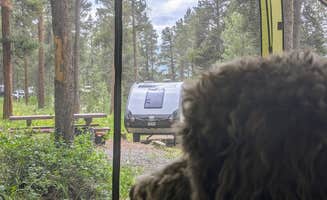 Jerry R.'s photo of camping with pets at Lakeview Gunnison near Almont, CO