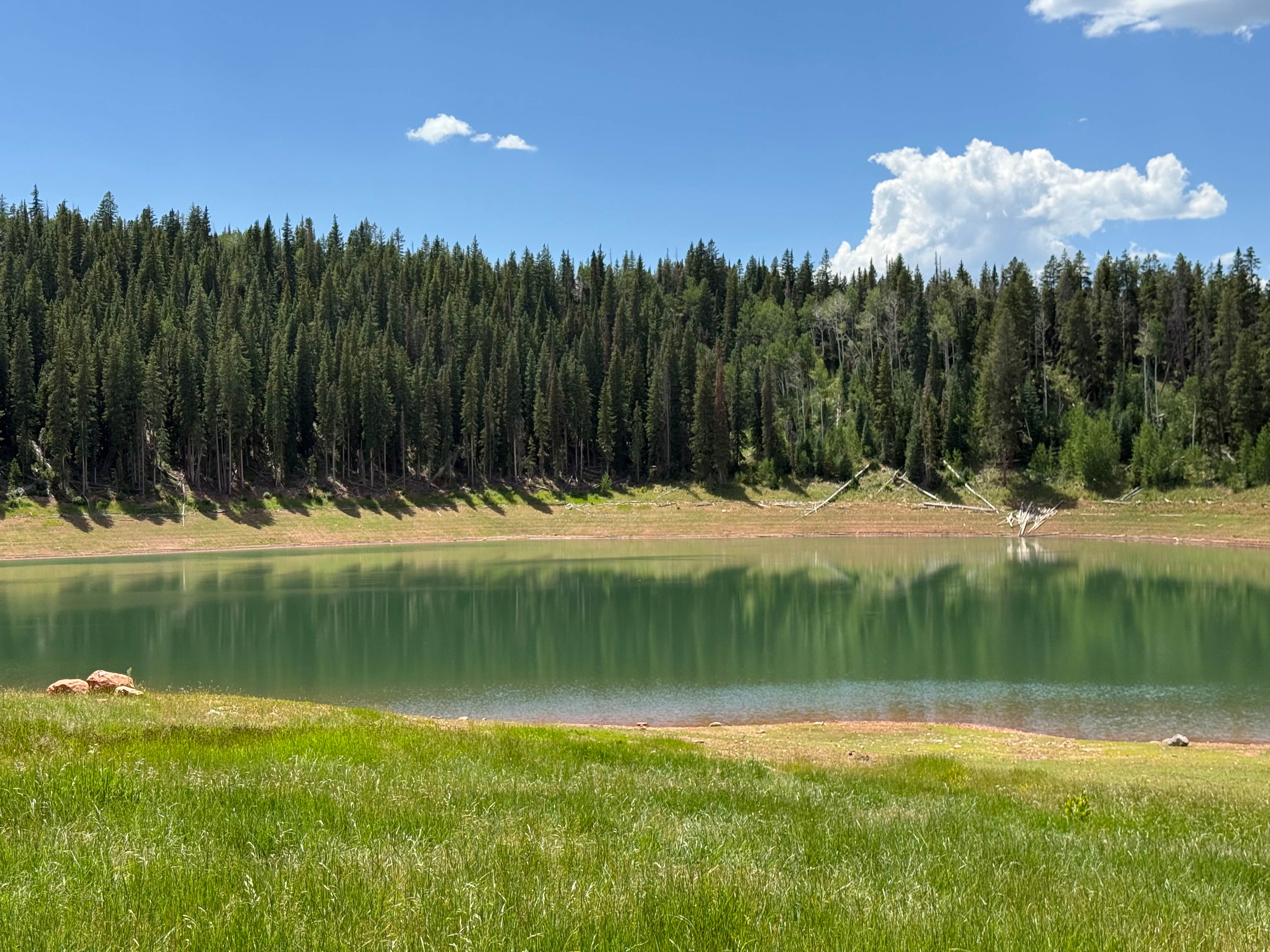 Camper submitted image from LEDE Reservoir Campground - Dispersed - 1