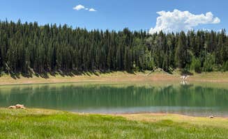 Ann Marie K.'s photo of a dispersed camping area at LEDE Reservoir Campground - Dispersed near Avon, CO