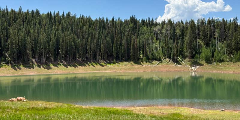 Camper submitted image from LEDE Reservoir Campground - Dispersed