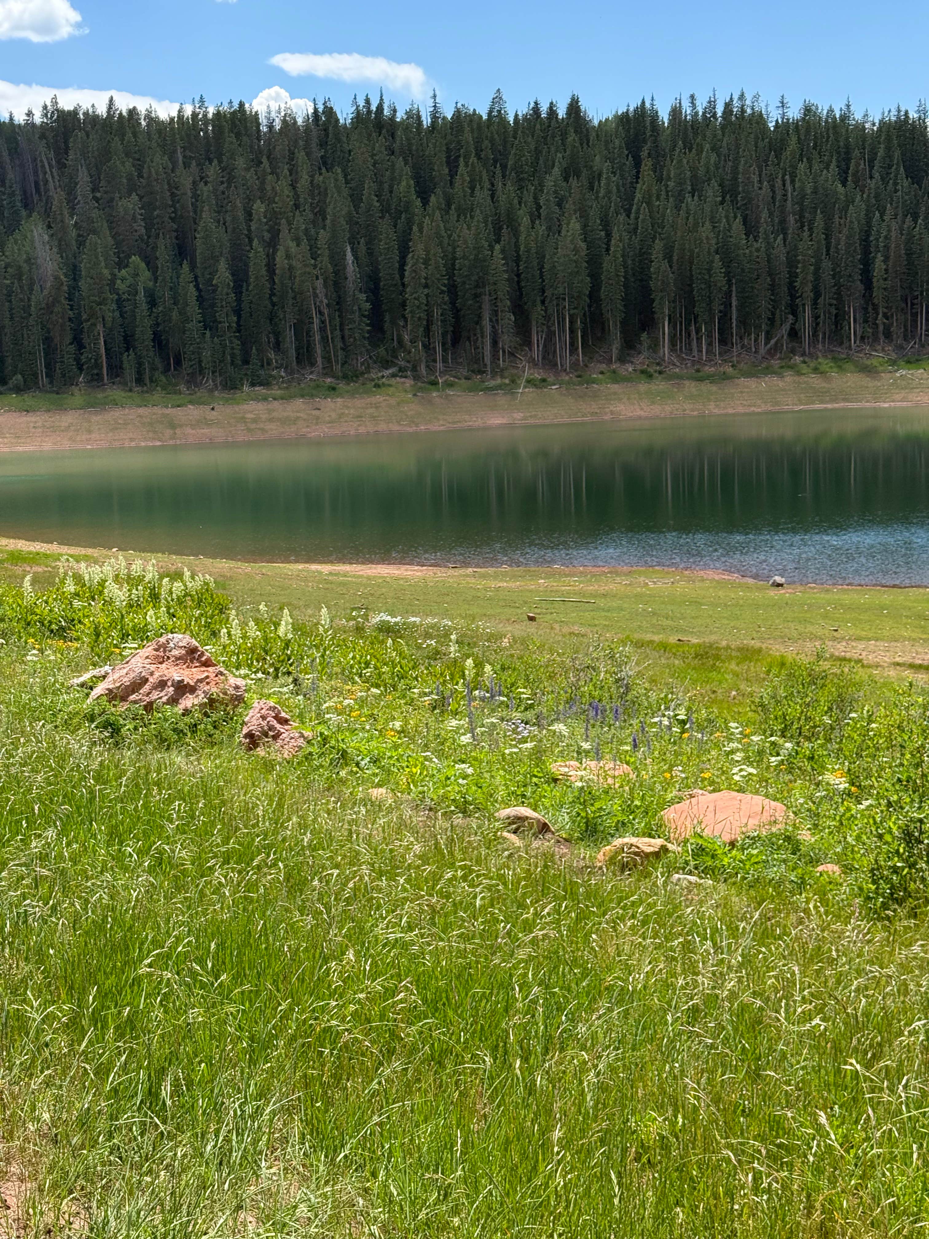 Camper submitted image from LEDE Reservoir Campground - Dispersed - 2