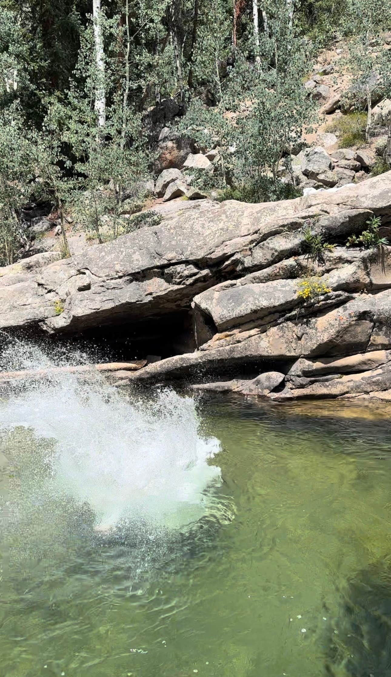 Elsa P.'s photo of a dispersed camping area at Lincoln Creek Dispersed Campground near Snowmass Village, CO