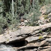 Review photo of Lincoln Creek Dispersed Campground by Elsa P., September 1, 2024