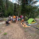 Review photo of Lincoln Creek Dispersed Campground by Frank B., June 10, 2025