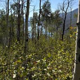 Review photo of Little Maud Campground by Keri L., July 16, 2026