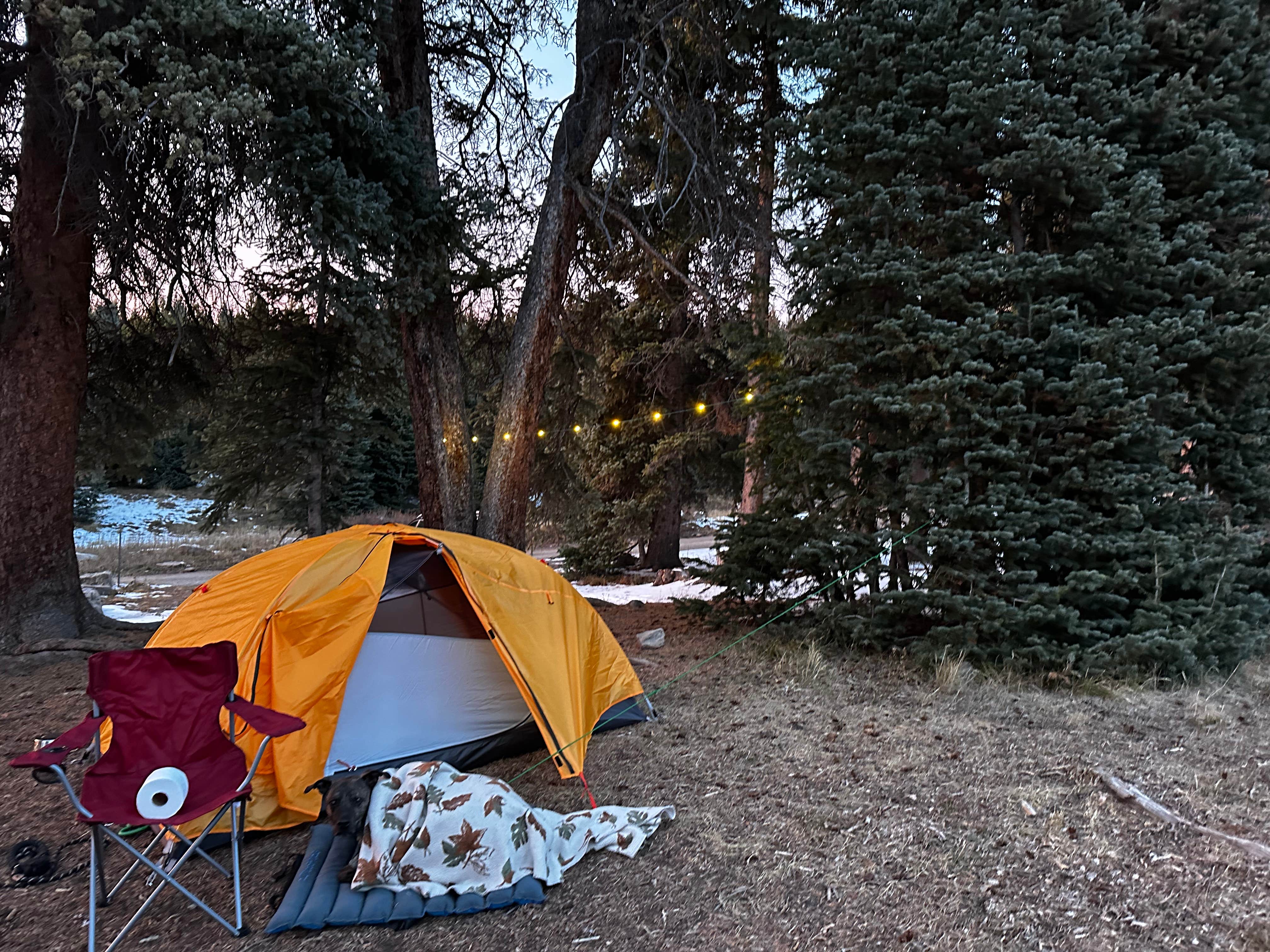 Braylen A.'s photo at Little Molas Lake Campground near Silverton, CO