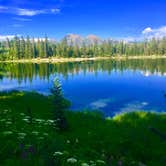 Review photo of Lost Lake Campground by Paulina B., December 15, 2024