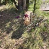 Review photo of Lost Lake Campground by Wm S., September 5, 2026
