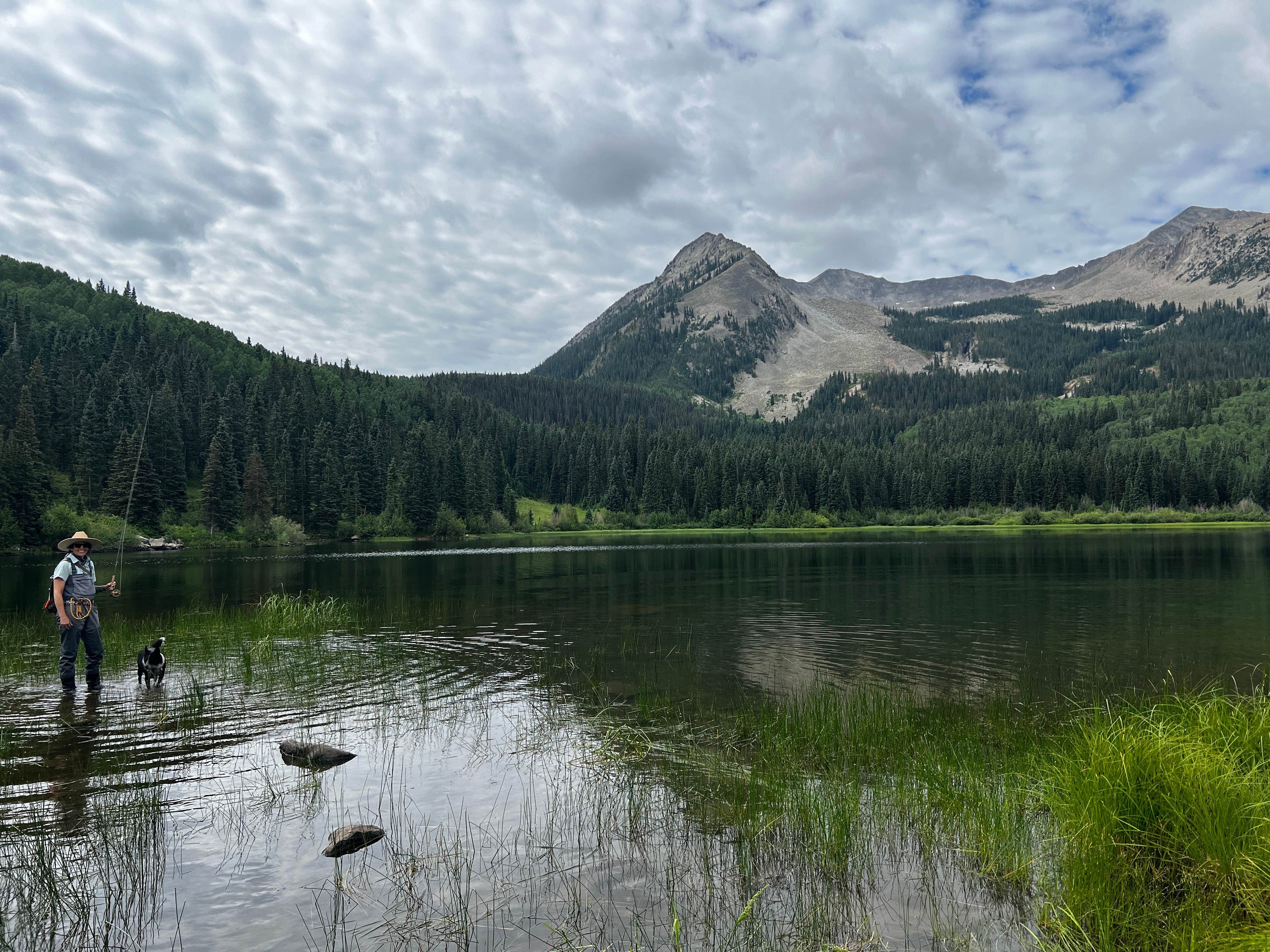 kristi M.'s photo of camping with pets at Lost Lake Campground near Crested Butte, CO