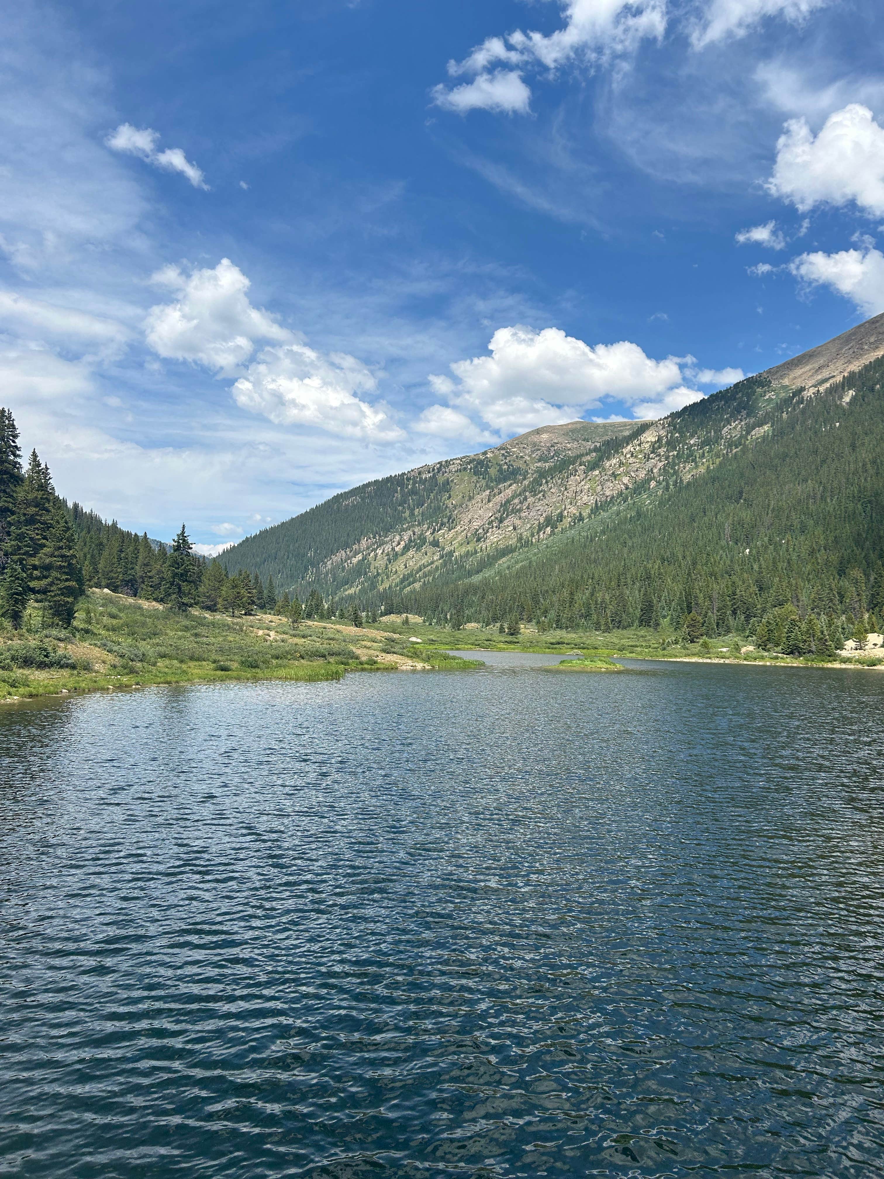 Camper-submitted photo at Lost Man Campground near Granite, CO