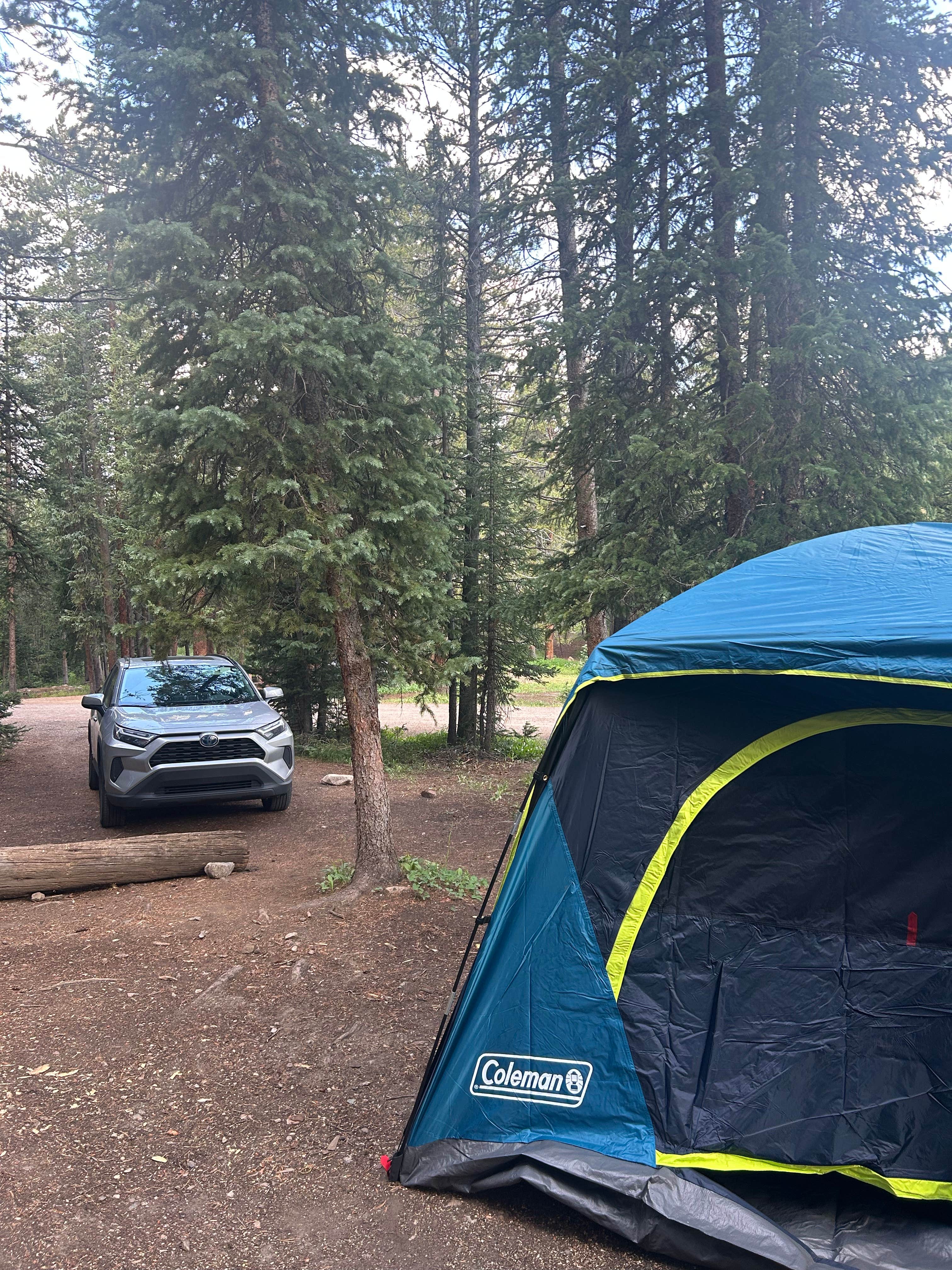Camper-submitted photo at Lost Man Campground near Granite, CO