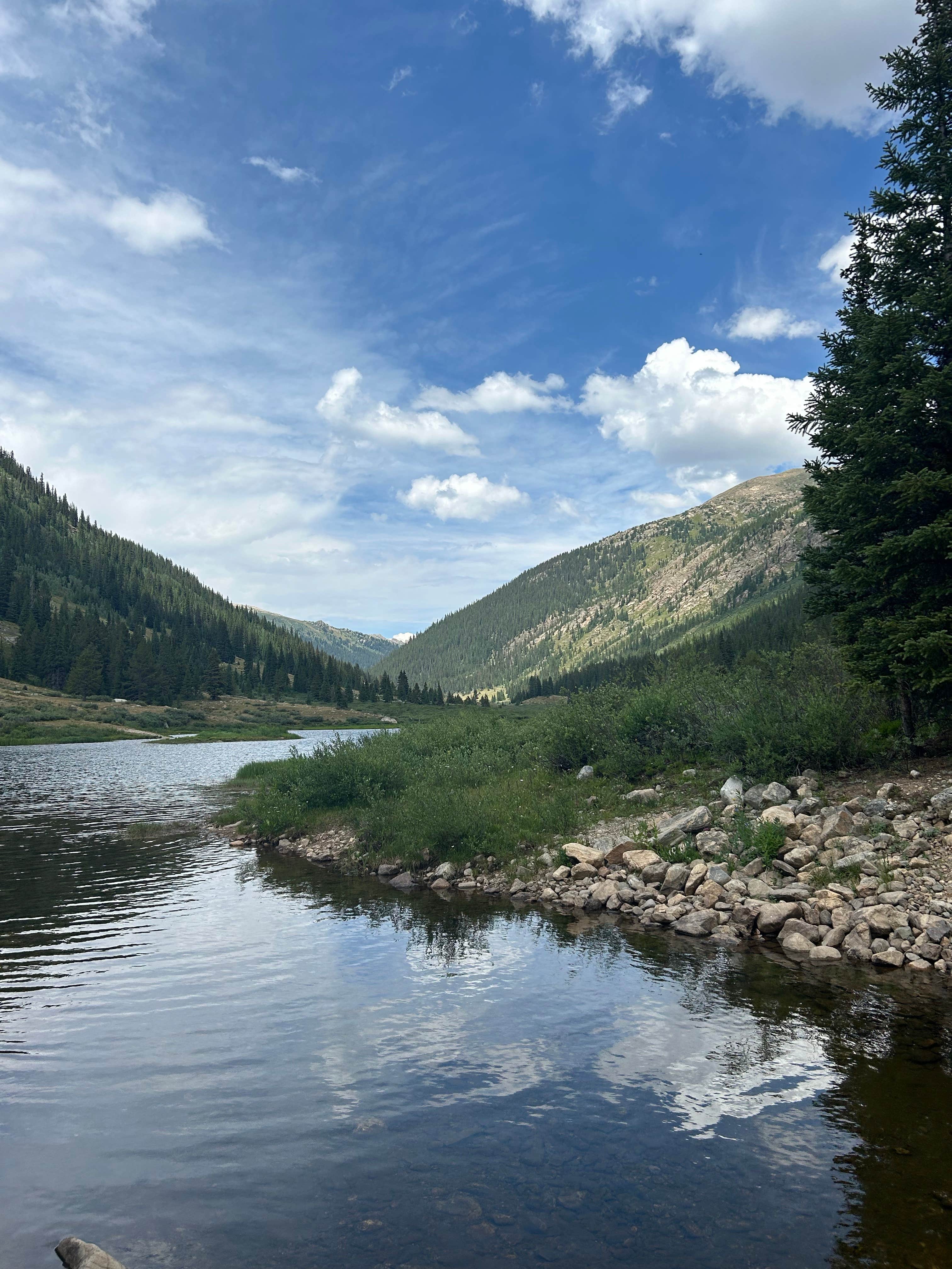 Camper-submitted photo at Lost Man Campground near Granite, CO