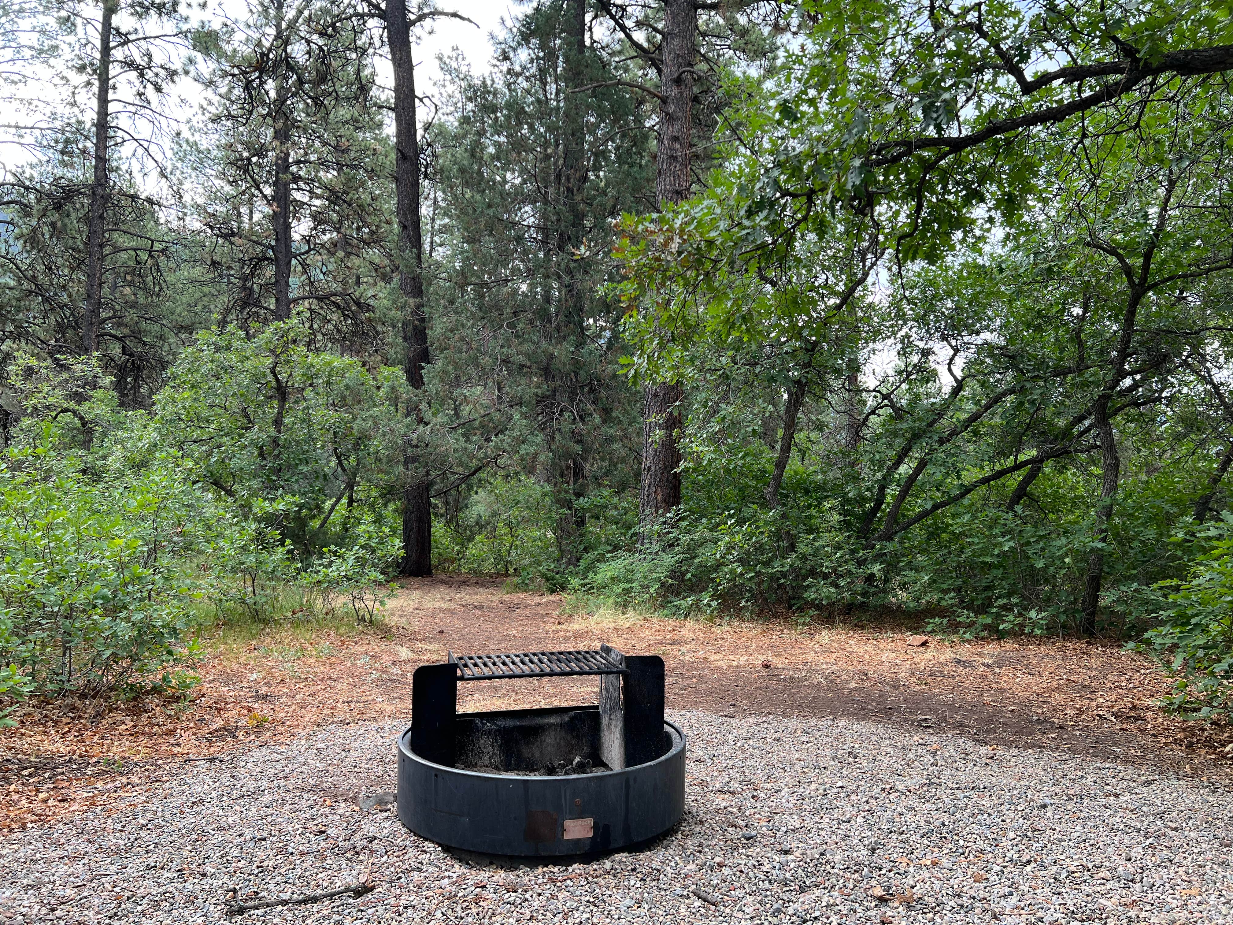 Camper-submitted photo at Lower Hermosa Campground near Dolores, CO
