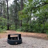 Review photo of Lower Hermosa Campground by Sarah , July 18, 2025