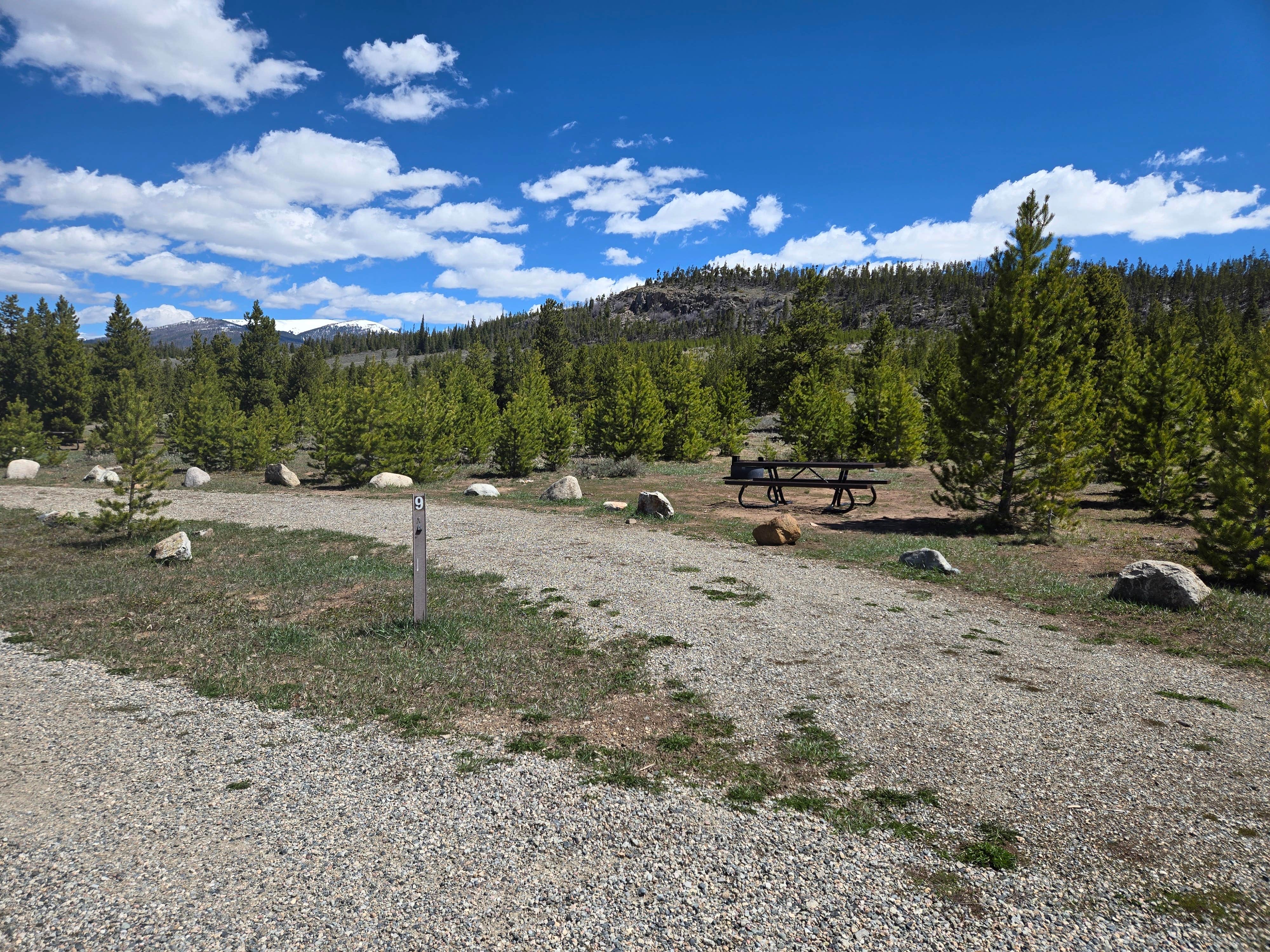 Tarrah C.'s photo of camping with pets at Lowry Campground near Silverthorne, CO