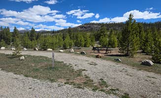 Tarrah C.'s photo of camping with pets at Lowry Campground near Copper Mountain, CO