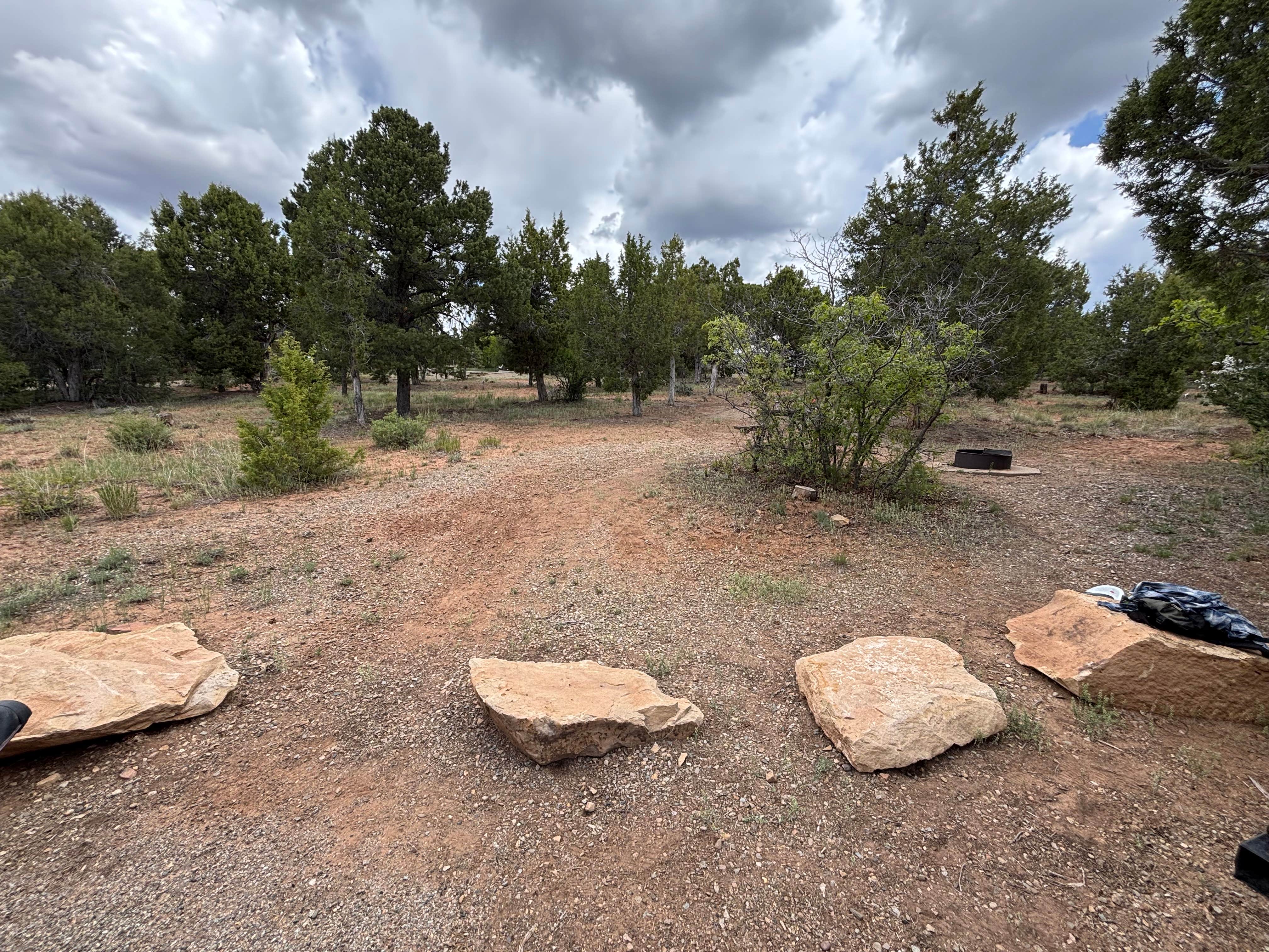 Camper submitted image from McPhee Campground - 2