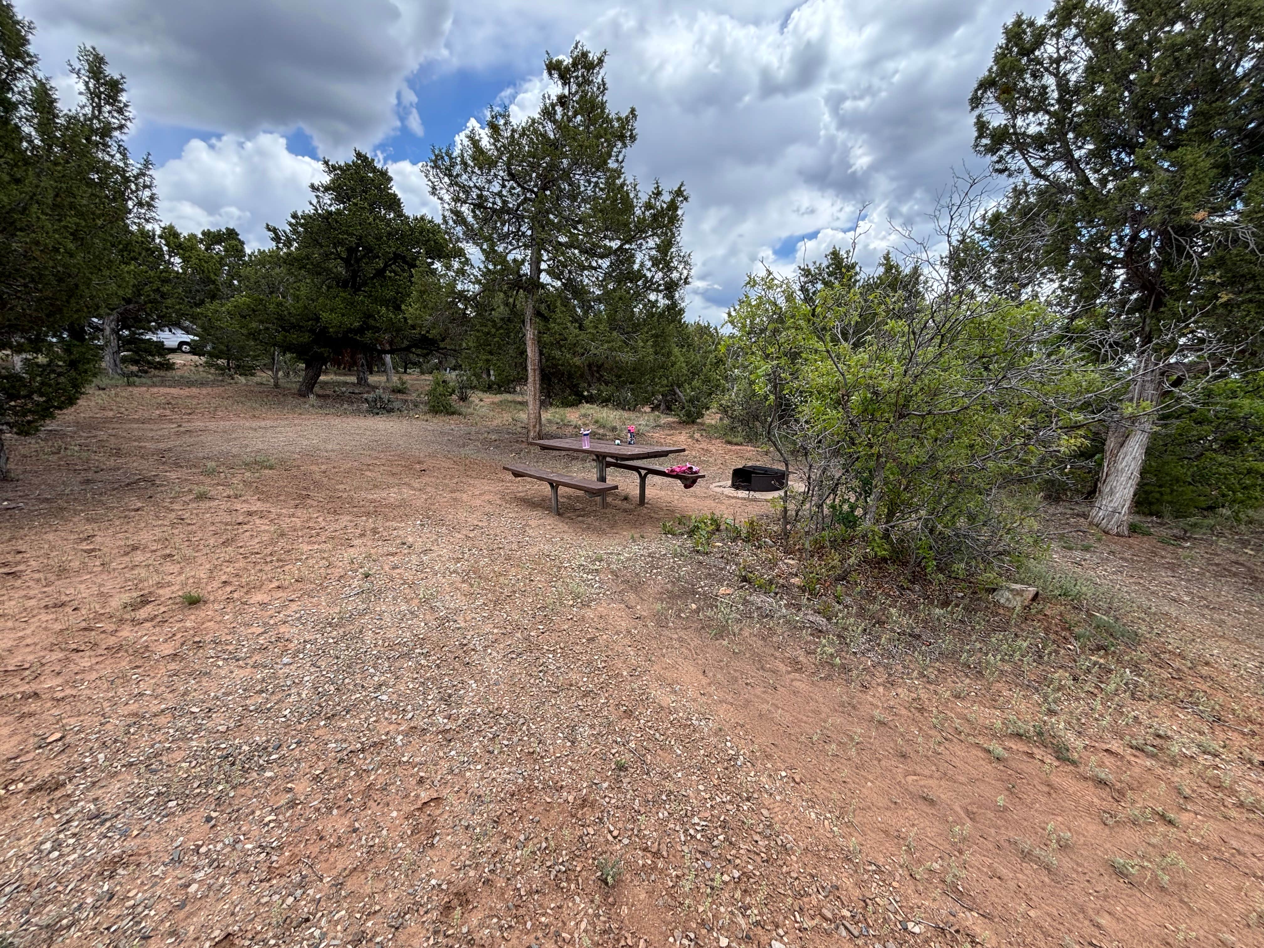 Camper submitted image from McPhee Campground - 5