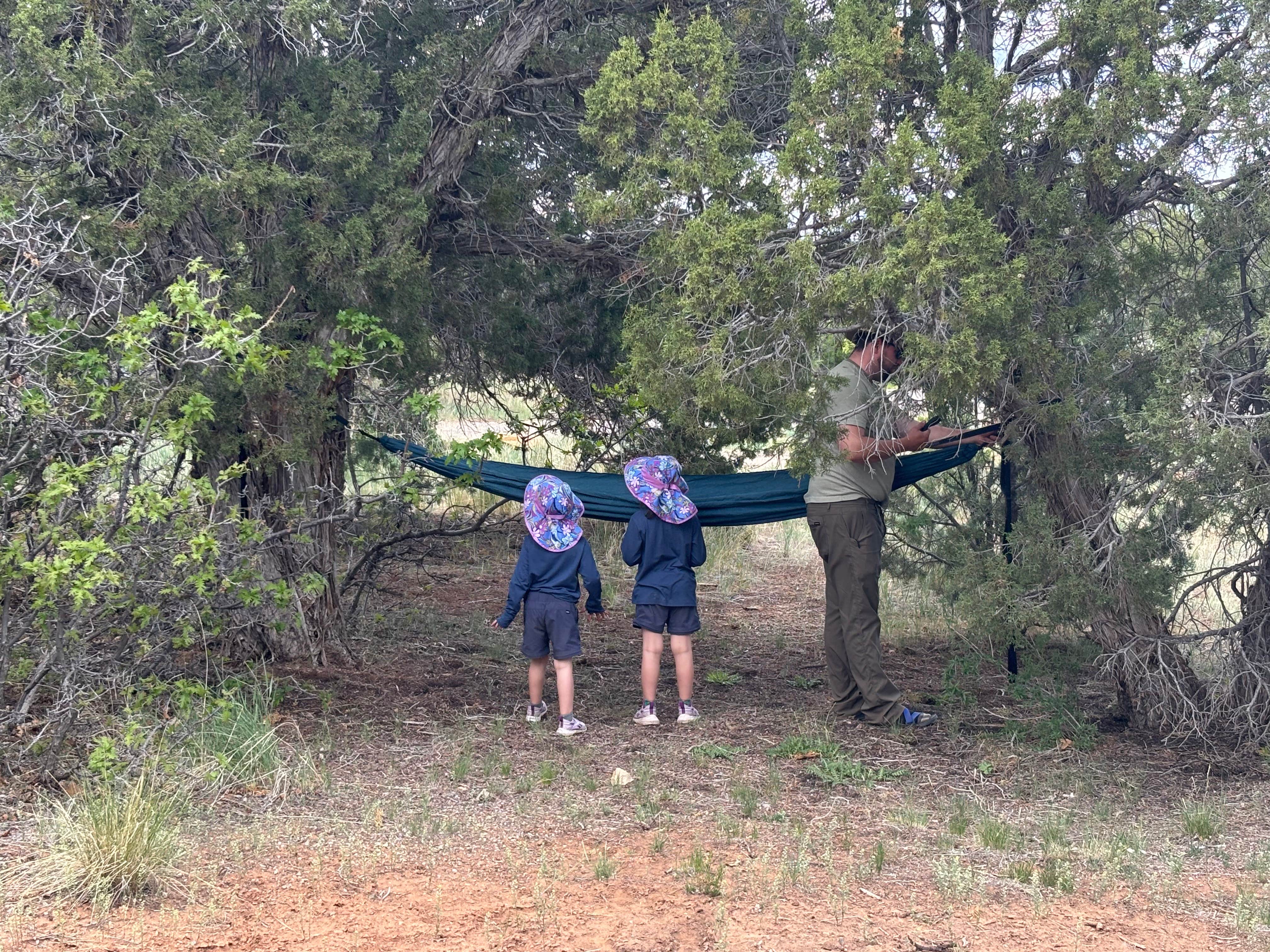 Camper submitted image from McPhee Campground - 5