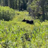 Review photo of Meadow Creek Reservoir Fishing Site by Callie C., August 24, 2026
