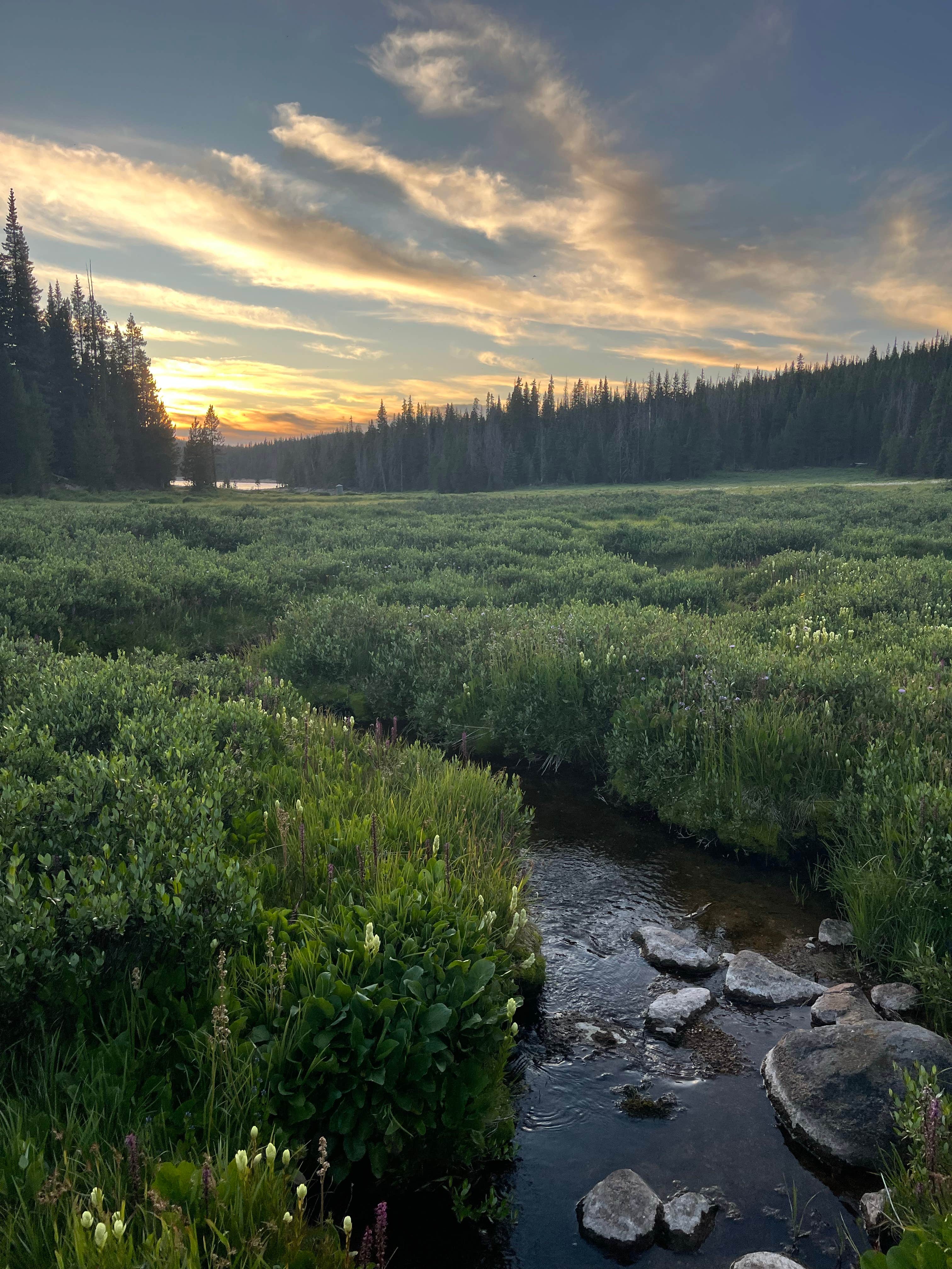 Lilliana S.'s photo of a dispersed camping area at Meadow Creek Reservoir Fishing Site near Grand Lake, CO