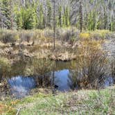 Review photo of Meadow Creek Reservoir Fishing Site by amie M., May 27, 2024