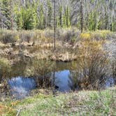 Review photo of Meadow Creek Reservoir Fishing Site by amie M., May 27, 2024