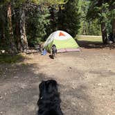 Review photo of Meadow Creek Reservoir Fishing Site by Callie C., August 24, 2026