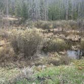 Review photo of Meadow Creek Reservoir Fishing Site by amie M., May 27, 2024
