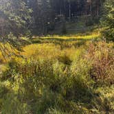 Review photo of Meadows Campground by Daniel S., September 17, 2026