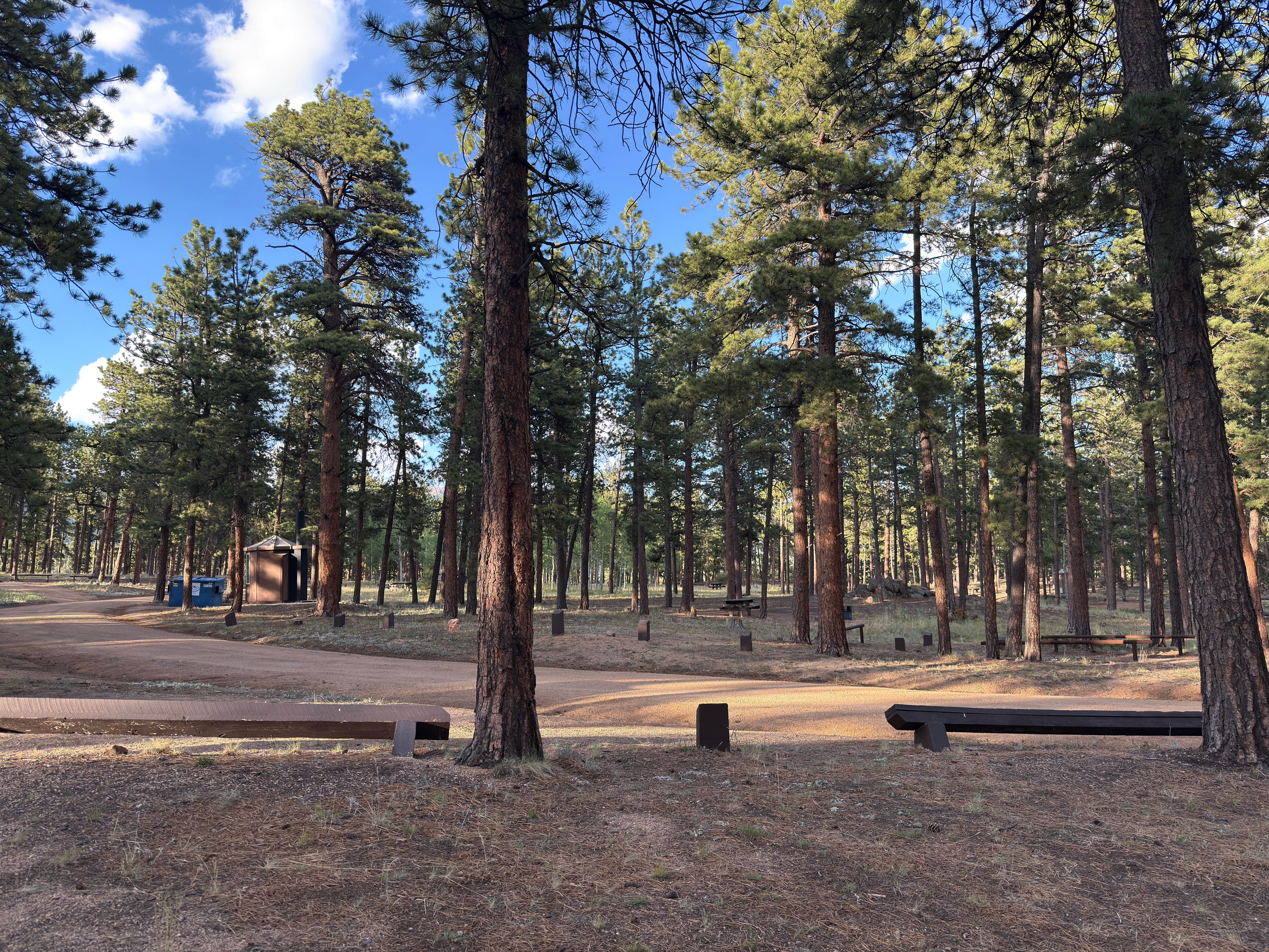 Camper-submitted photo at Meridian Campground near Bailey, CO