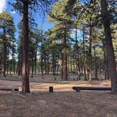 Review photo of Meridian Campground by Marceleno D., July 13, 2026
