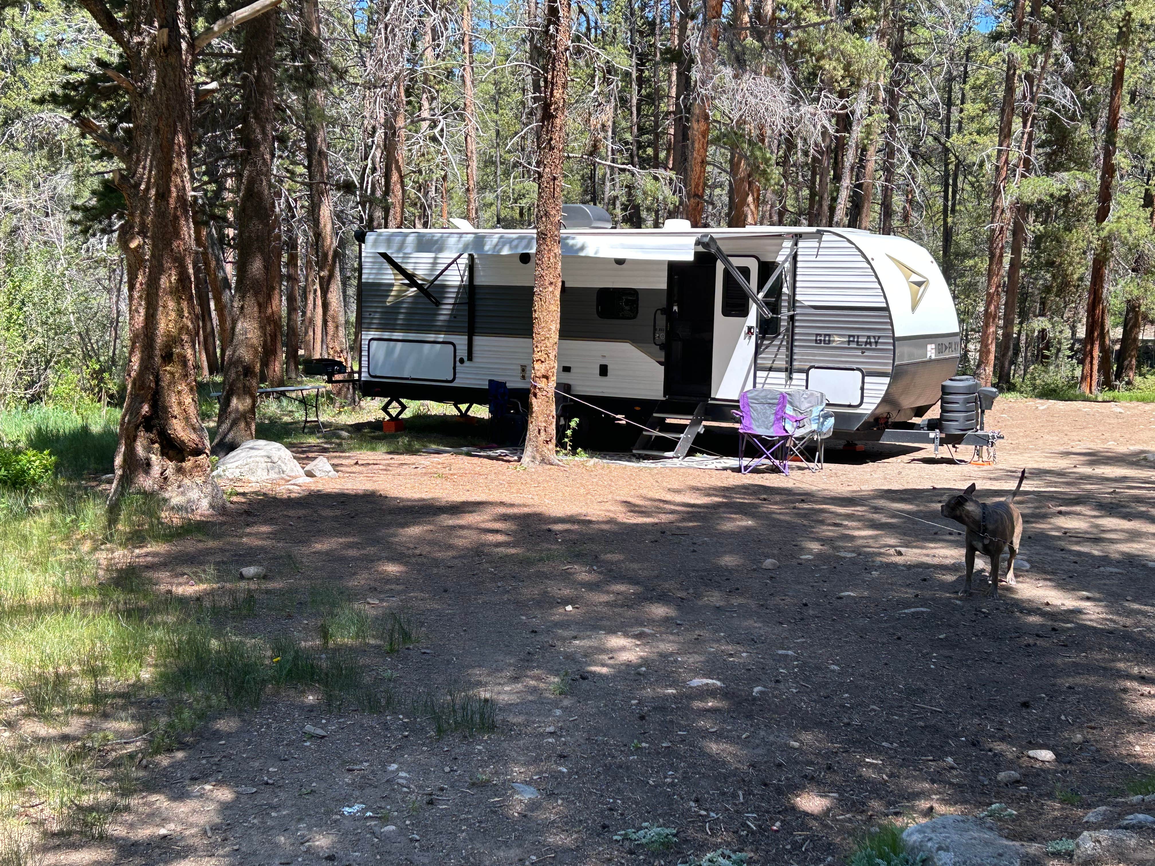 shannon C.'s photo at Middle Quartz near Sargents, CO
