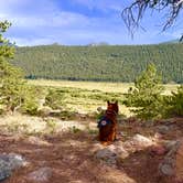 Review photo of Moraine Park Campground — Rocky Mountain National Park by J C., July 15, 2026