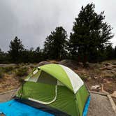Review photo of Moraine Park Campground — Rocky Mountain National Park by Mary M., August 3, 2025